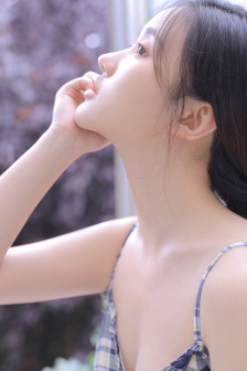 向风而行电视剧在线免费观看